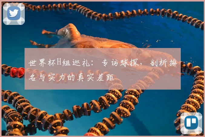 世界杯H组巡礼：专访球探，剖析排名与实力的真实差距