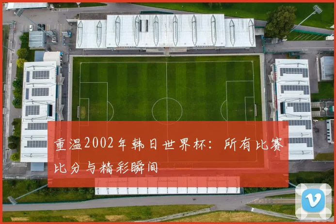 重温2002年韩日世界杯：所有比赛比分与精彩瞬间