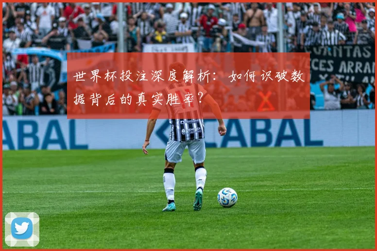 世界杯投注深度解析：如何识破数据背后的真实胜率？
